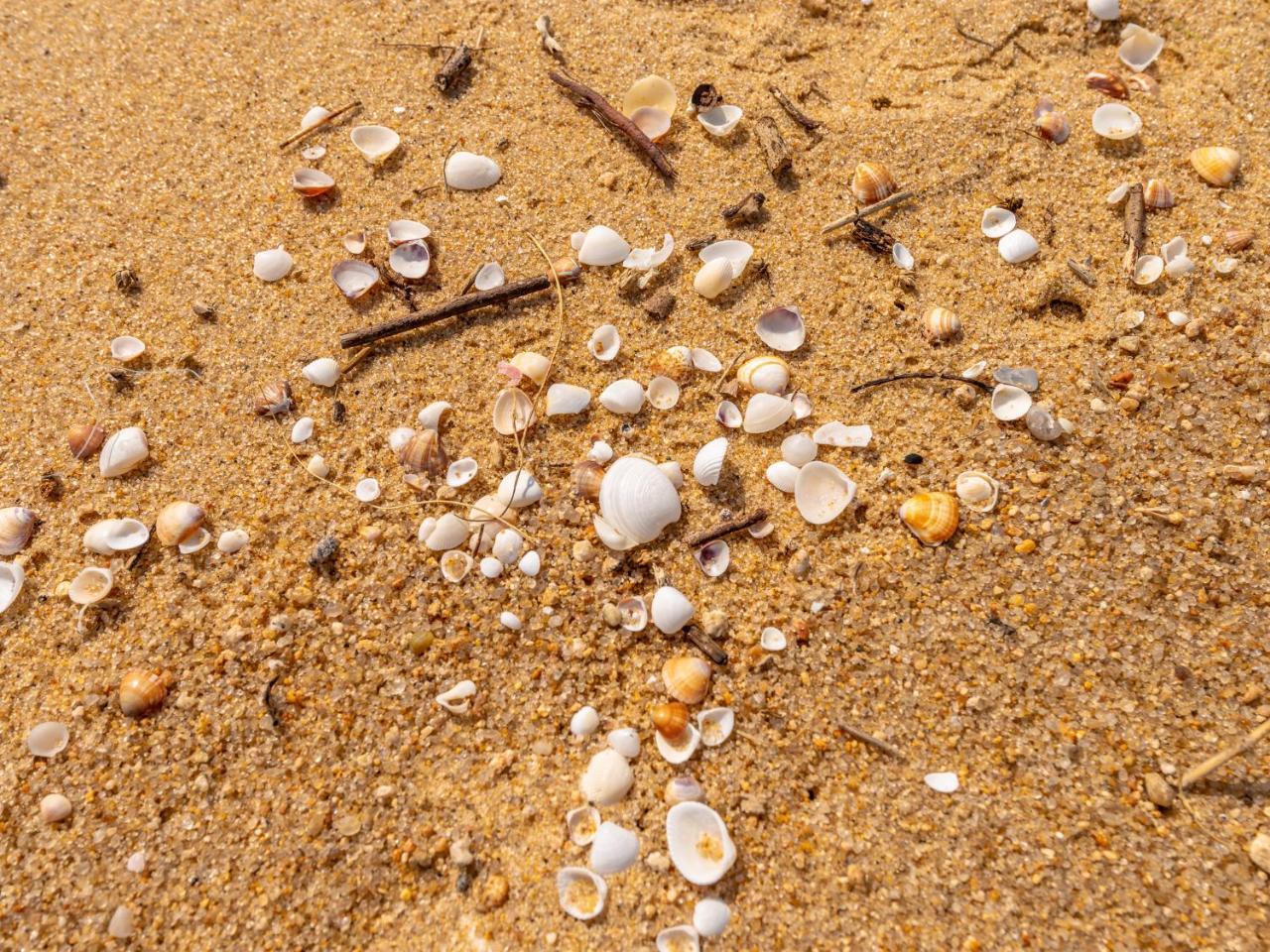 Pousada Pé Na Areia Caraguatatuba Exterior foto